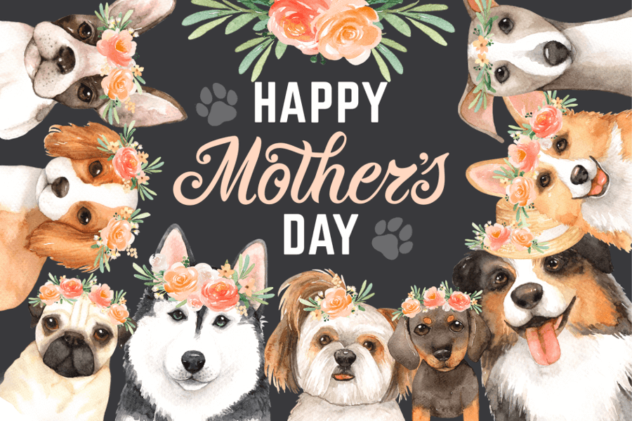 MOTHER'S DAY - DOGGIES