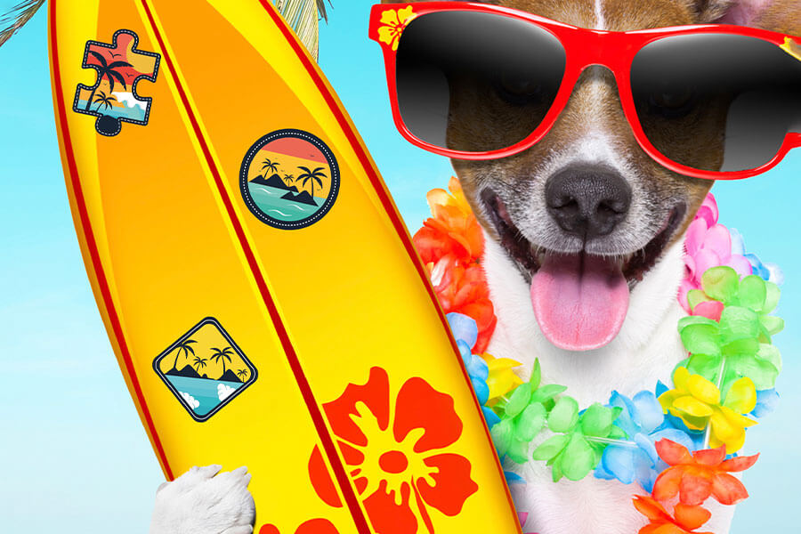 Dog Days Of Summer — MicroPuzzles - Main Image