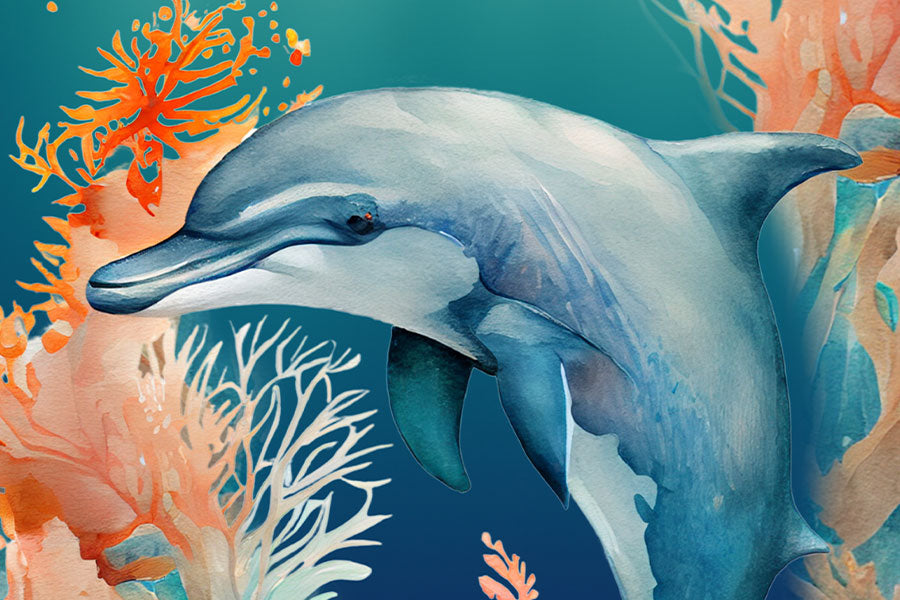 Dolphin - Marine Life