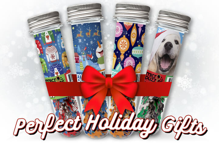 DISCOVER MICROPUZZLES