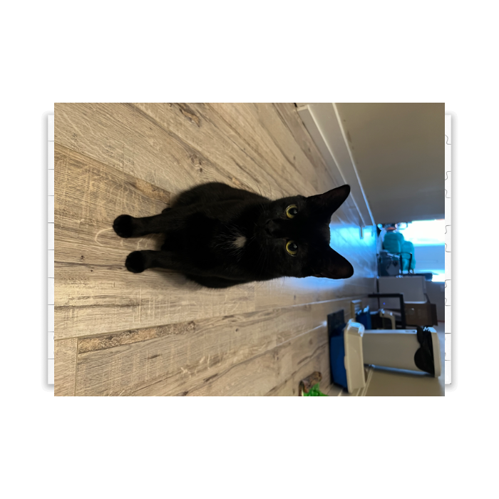 HORIZONTAL Custom Puzzle